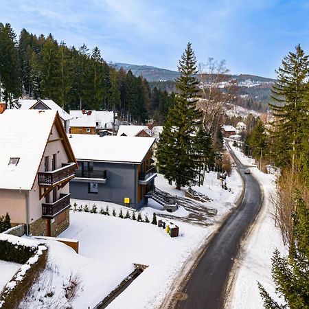 Wonder Home - Villa Vika Z Ogrodem, Z Miejscem Na Grilla I Ognisko Karpacz Dış mekan fotoğraf